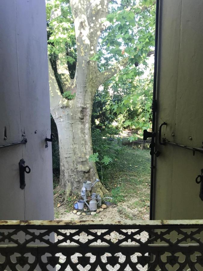 Le Clos De La Chardonniere Saulce-sur-Rhône Exterior foto